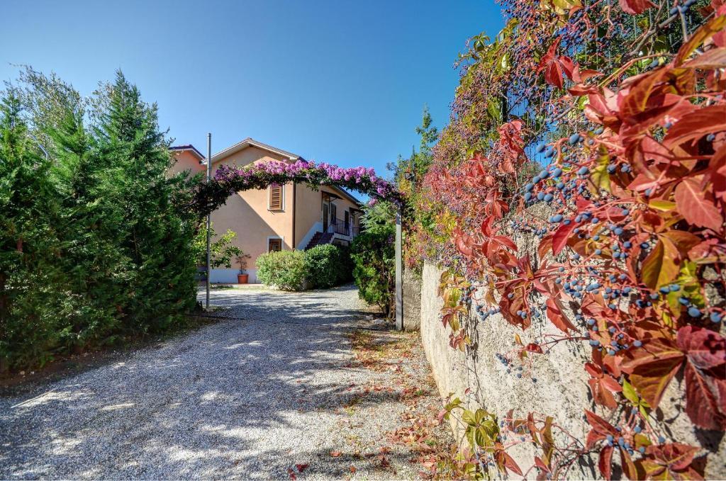 Aparthotel Andrea Marina di Camerota